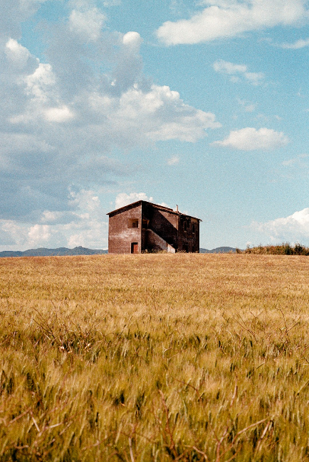 House in the middle of a field