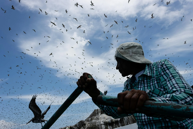 Man rowing in a boat with birds all around